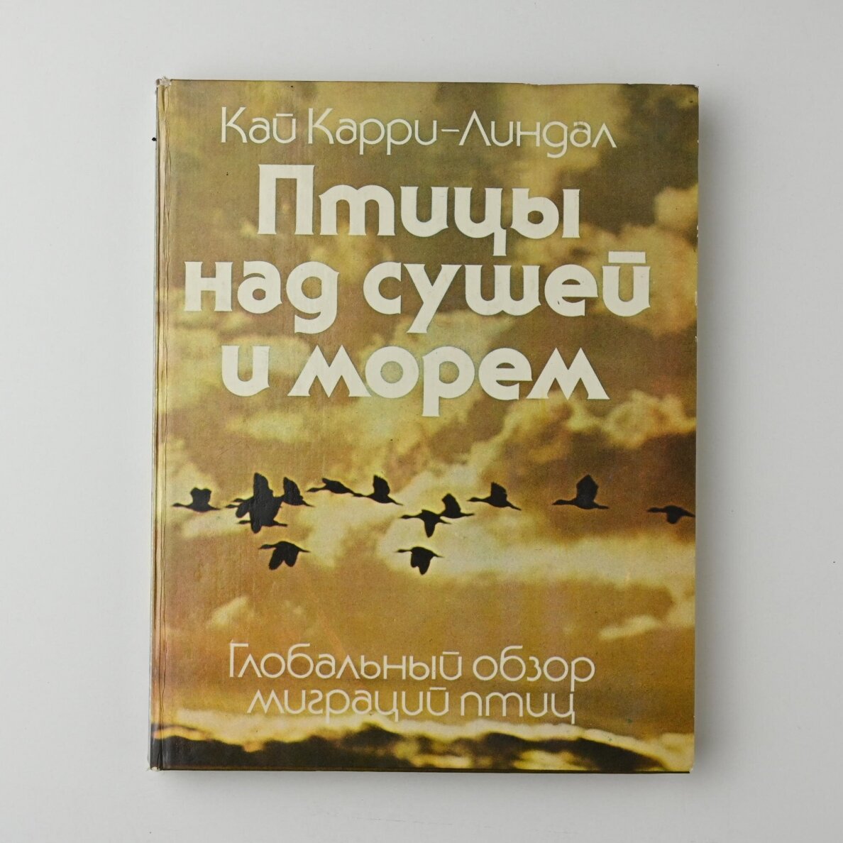 Птицы над сушей и морем Птицы над сушей и морем