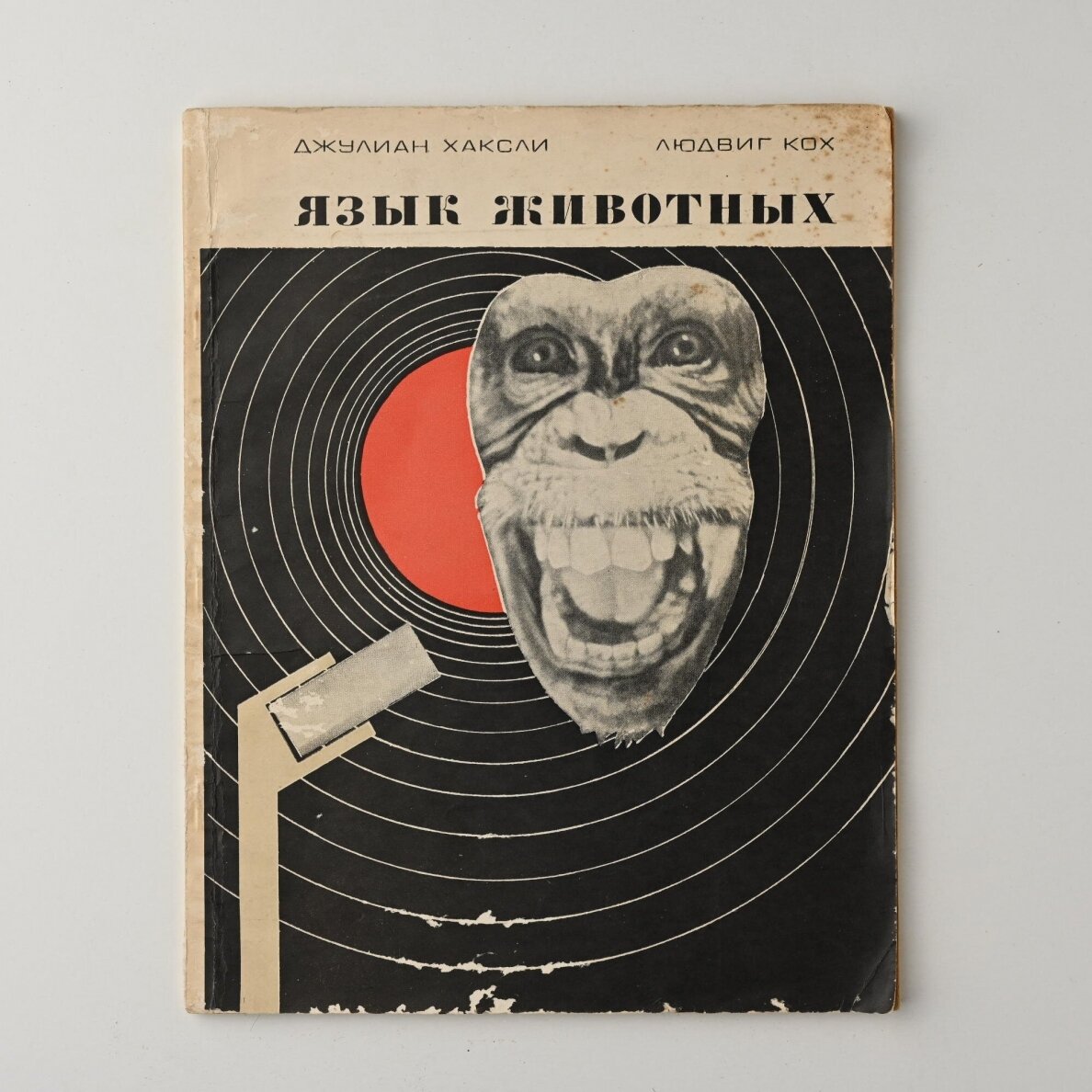 Язык животных Язык животных
