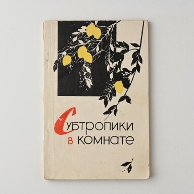 Субтропики в комнате Субтропики в комнате