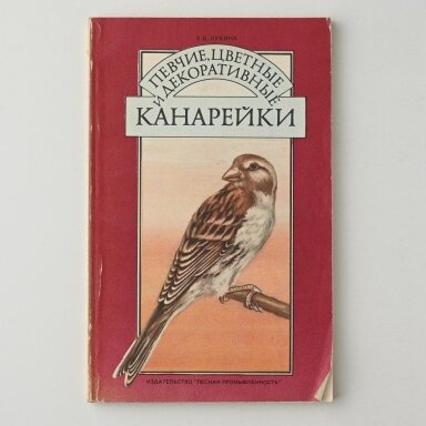Певчие цветные и декоративные канарейки