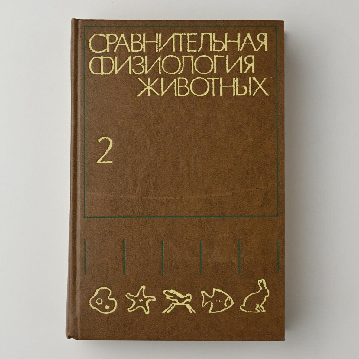 Сравнительная физиология животных Т. 1-3 1 Сравнительная физиология животных Т. 1-3 1