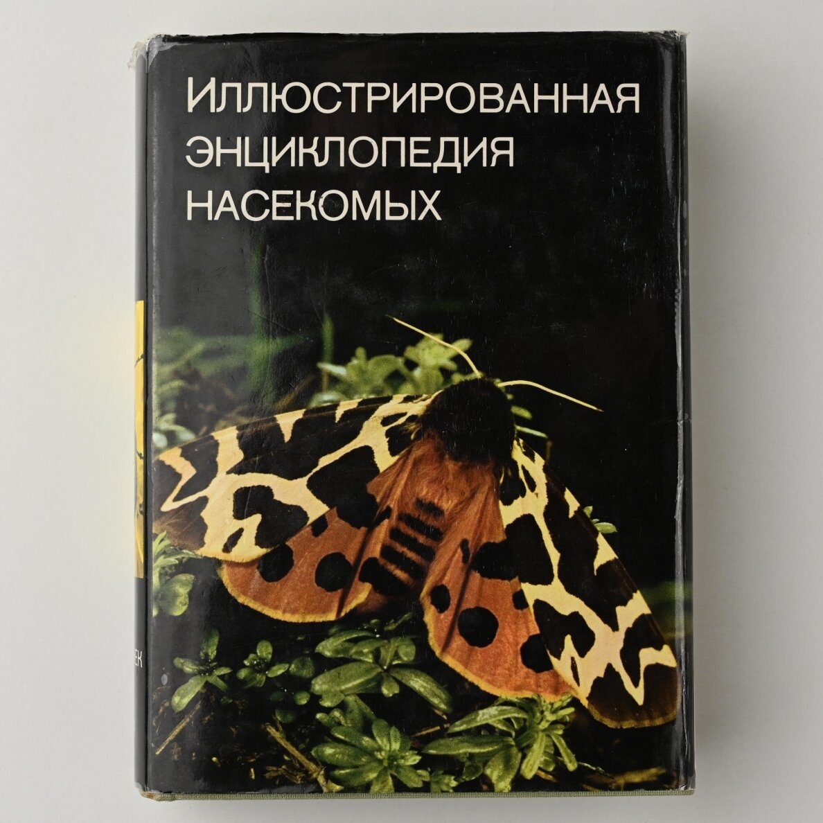 Иллюстрированная энциклопедия  I-VII 2