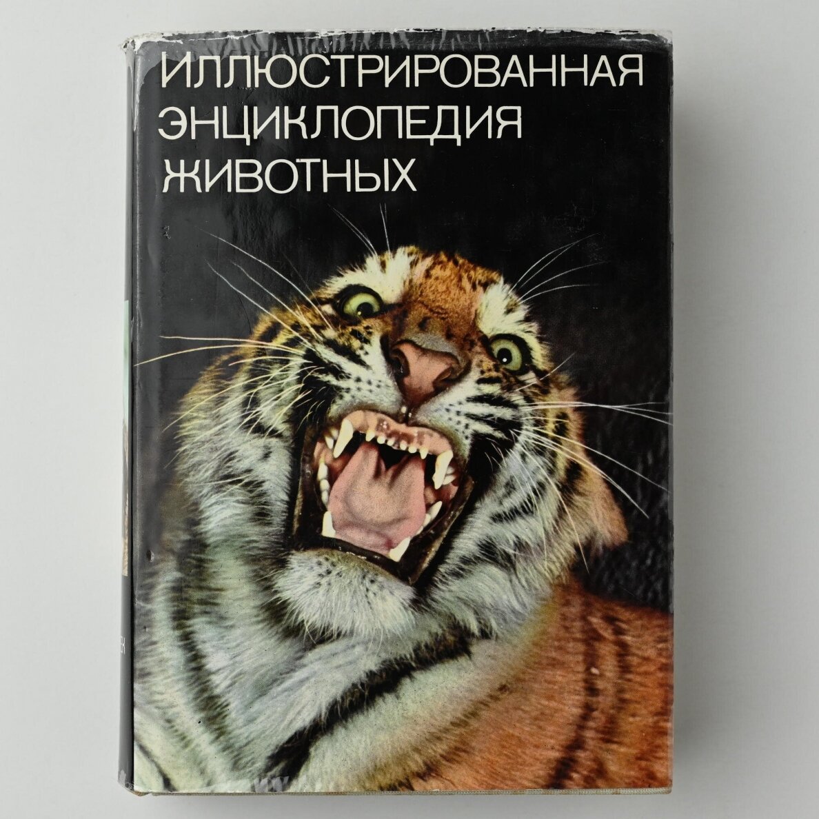 Иллюстрированная энциклопедия  I-VII 4