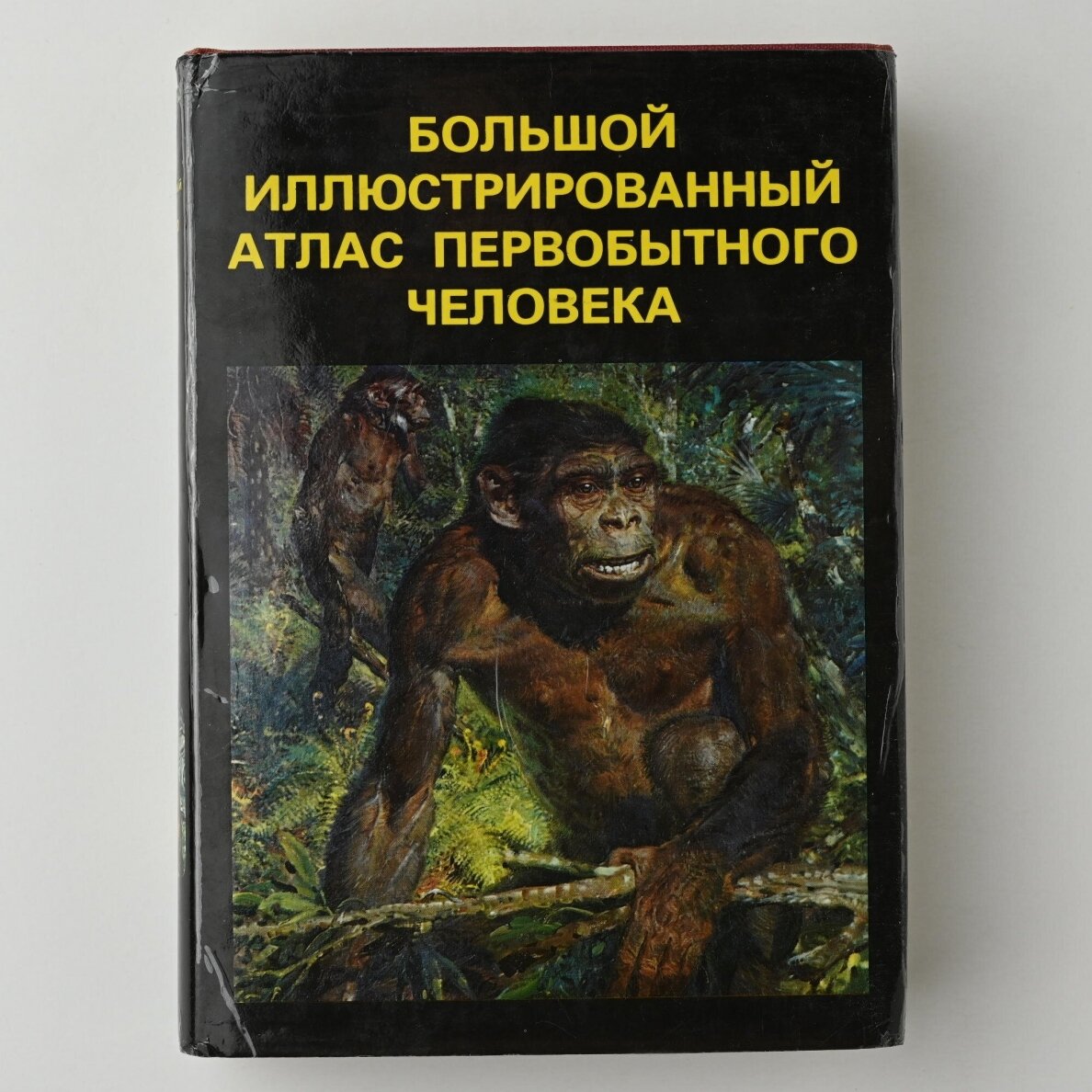 Иллюстрированная энциклопедия I-VII 6 Иллюстрированная энциклопедия I-VII 6