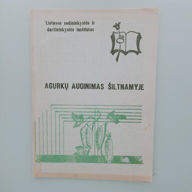 Agurkų auginimas šilnamyje
