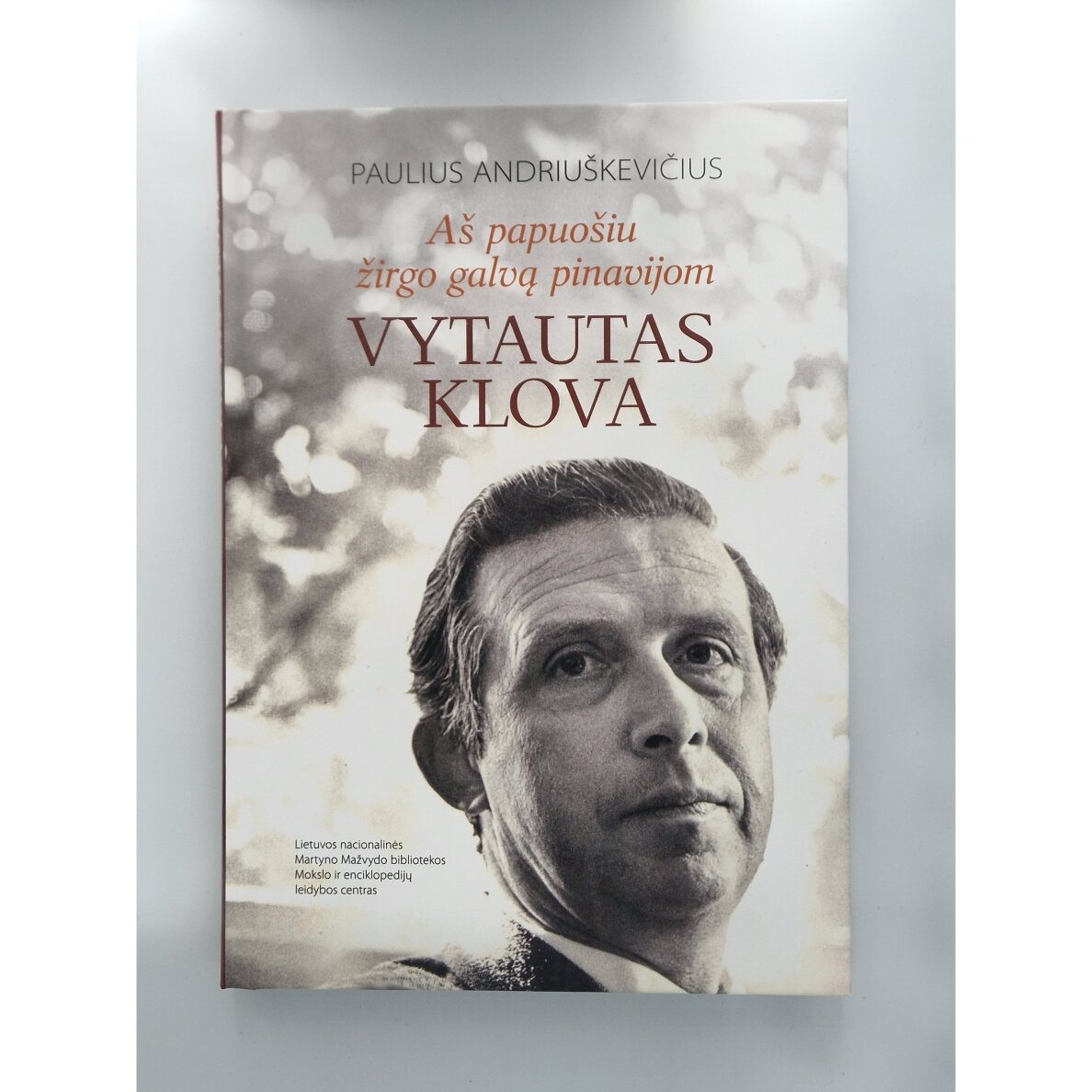 Aš papuošiu žirgo galvą pinavijom. Vytautas Klova