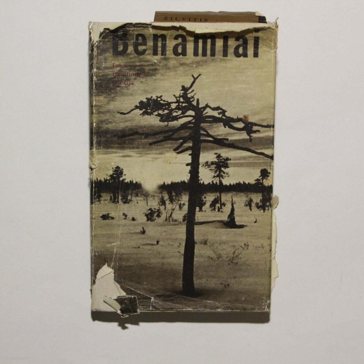 Benamiai