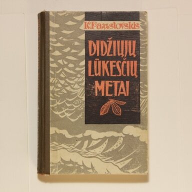 Didžiųjų lūkesčių metai