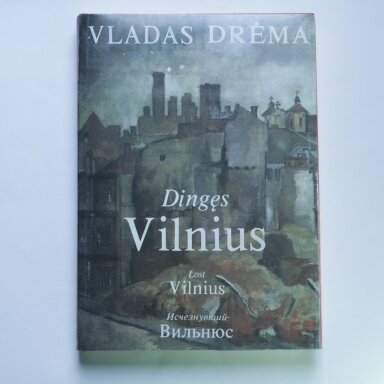 Dingęs Vilnius Dingęs Vilnius
