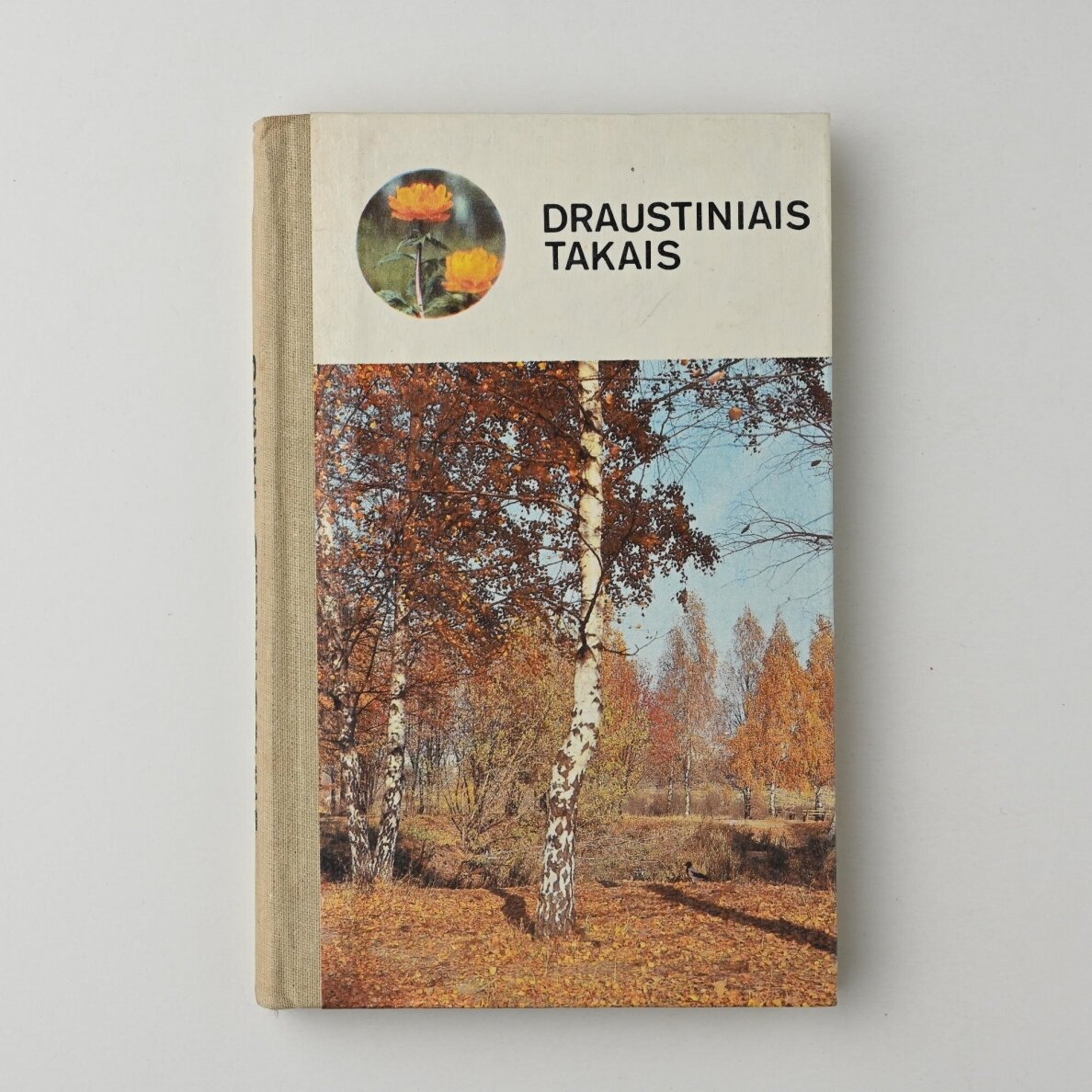 Draustiniais takais Draustiniais takais