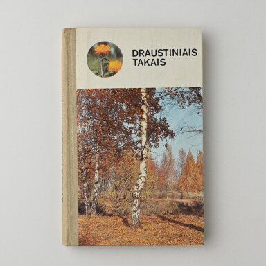Draustiniais takais Draustiniais takais