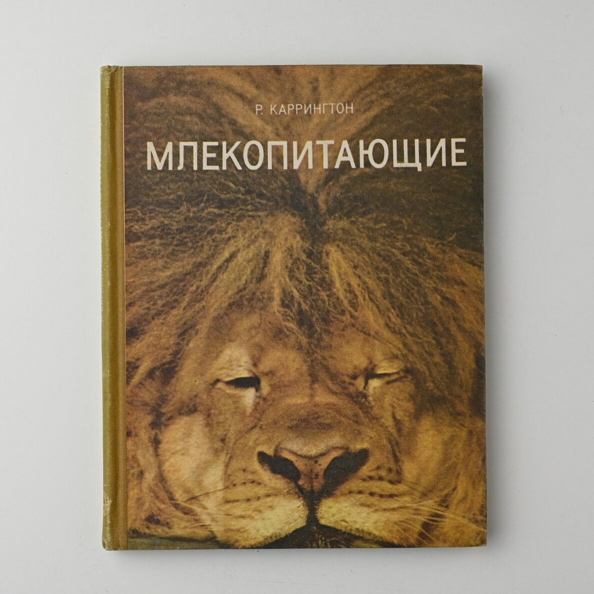 Млекопитающие Млекопитающие