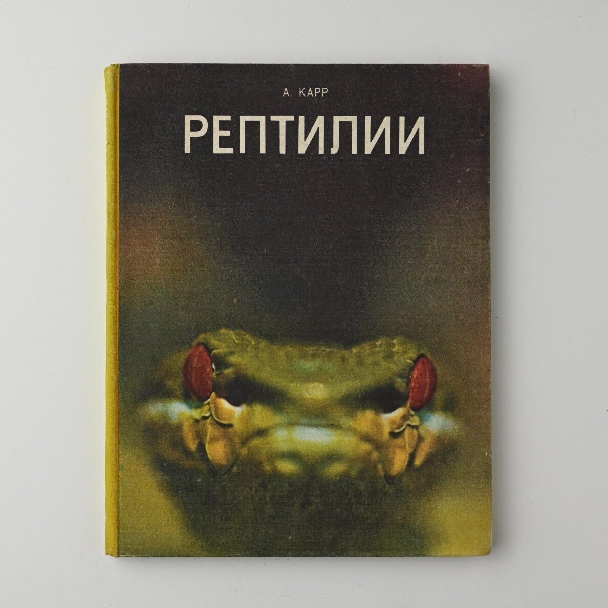 Рептилии Рептилии