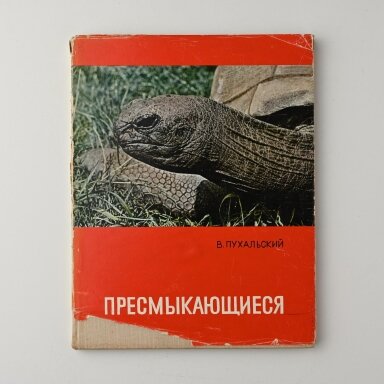 Пресмыкающиеся Пресмыкающиеся