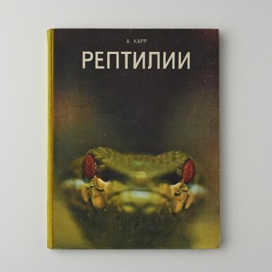 Рептилии Рептилии