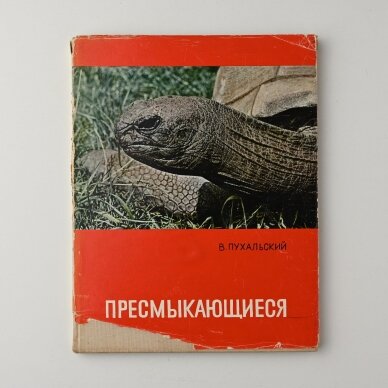 Пресмыкающиеся Пресмыкающиеся