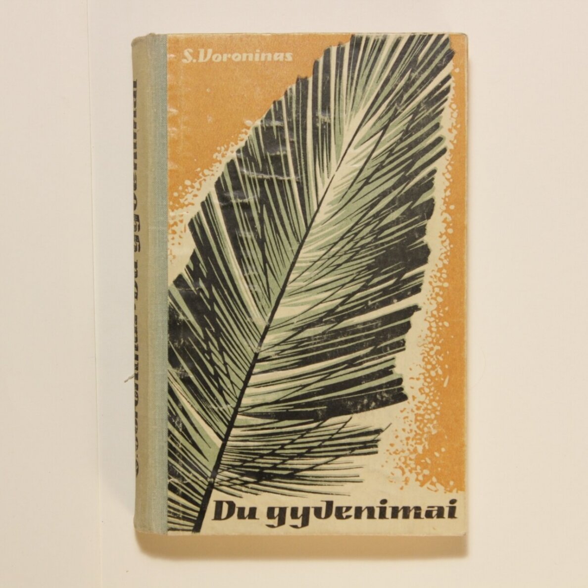 Du gyvenimai