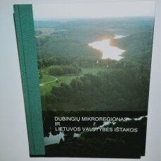 Dubingių mikroregionas ir Lietuvos valstybės ištakos