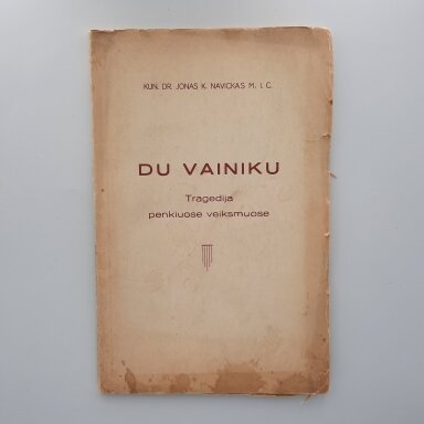 Du vainiku