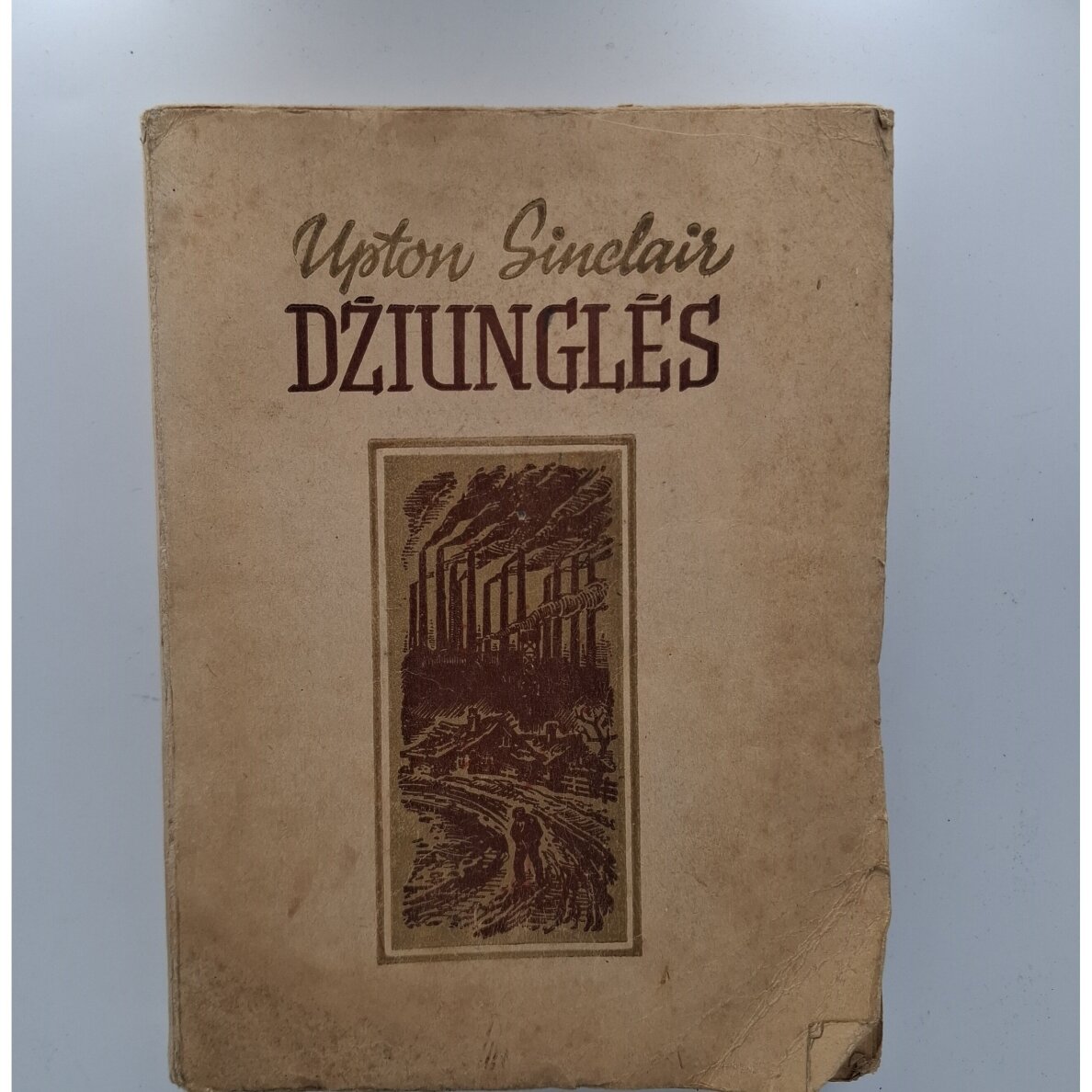 Džiunglės Džiunglės
