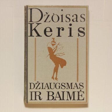 Džiaugsmas ir baimė : romanas Džiaugsmas ir baimė : romanas
