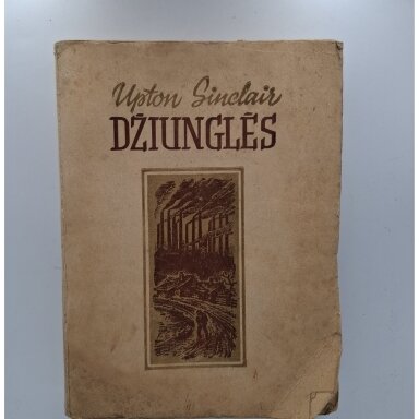 Džiunglės