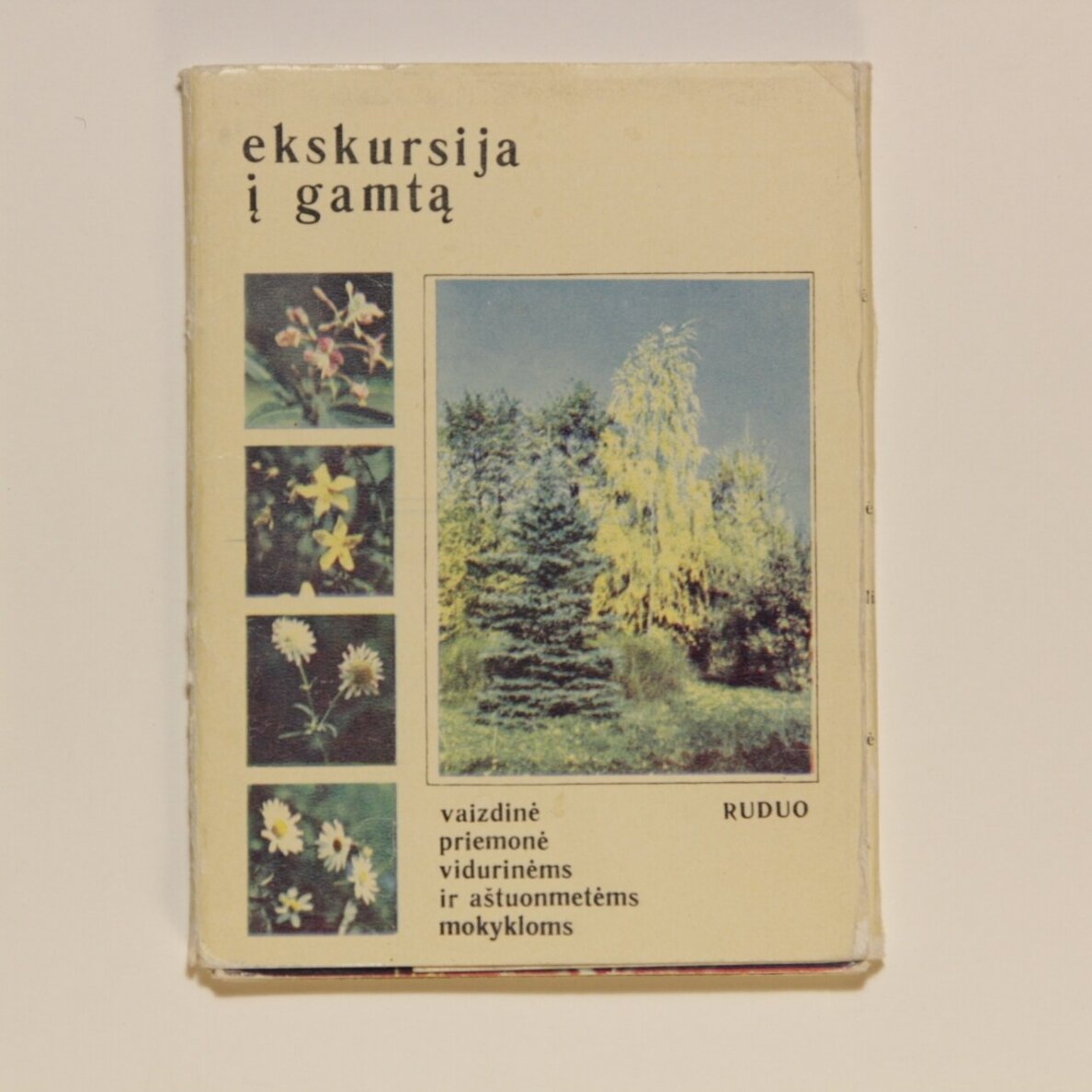 Ekskursija į gamtą Ekskursija į gamtą