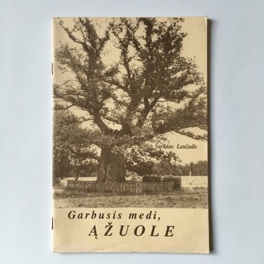 Garbusis medi, ąžuole