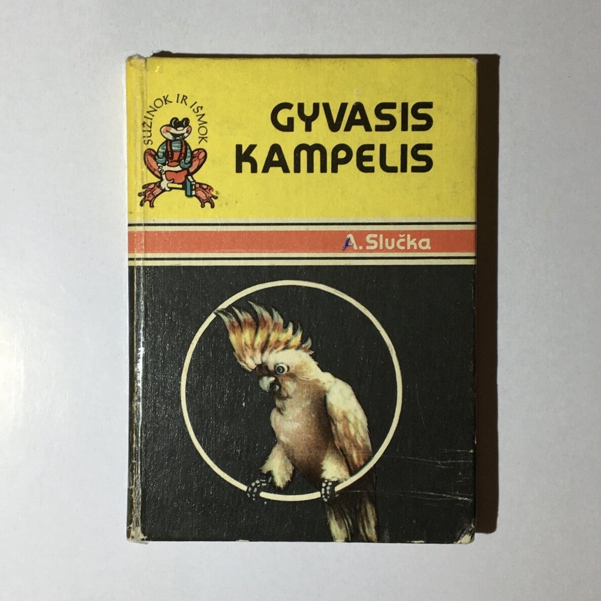 Gyvasis kampelis Gyvasis kampelis