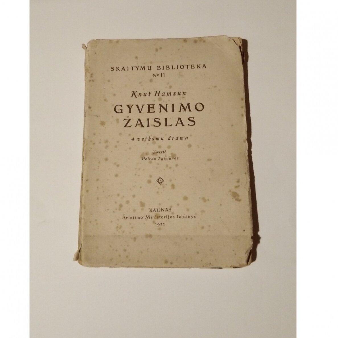 Gyvenimo žaislas