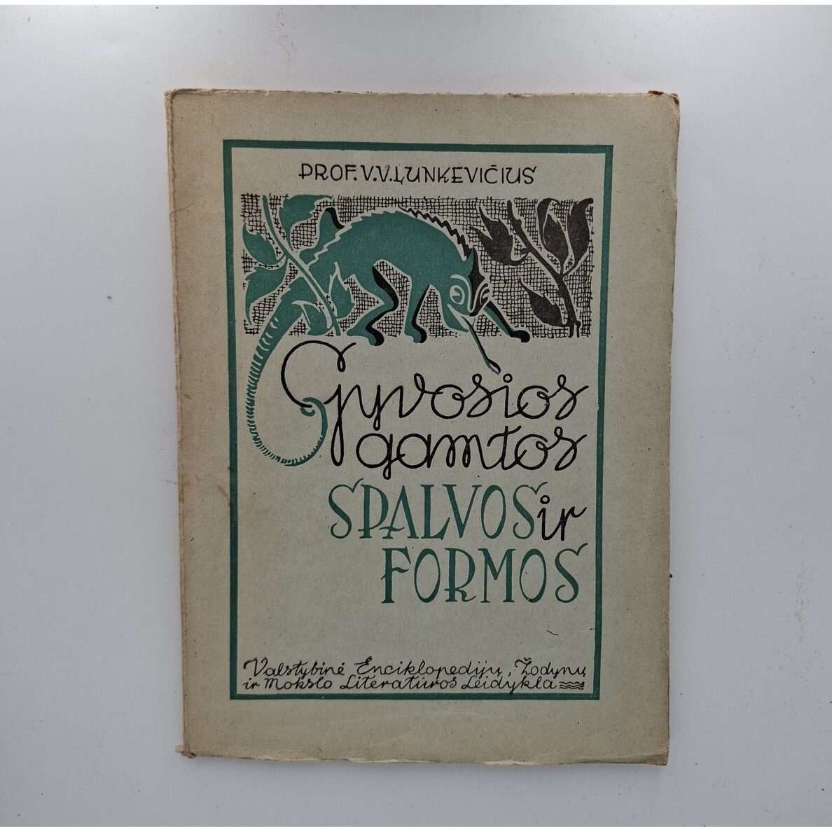 Gyvosios gamtos spalvos ir formos Gyvosios gamtos spalvos ir formos