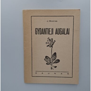 Gydantieji augalai