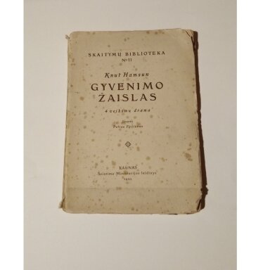 Gyvenimo žaislas