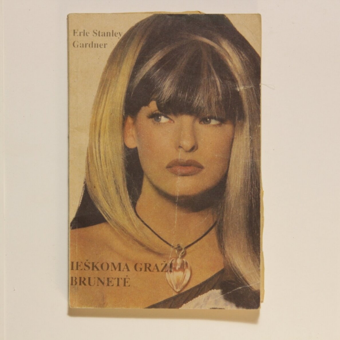Ieškoma graži brunetė : romanas Ieškoma graži brunetė : romanas
