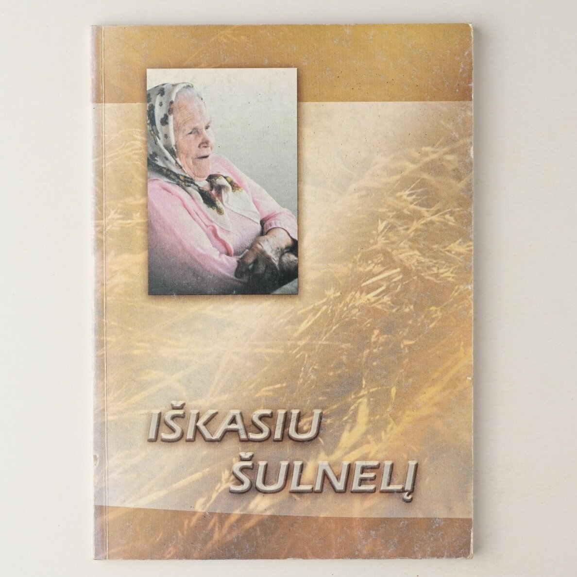 Iškasiu šulnelį : Anelės Prakapienės pateikta tautosaka