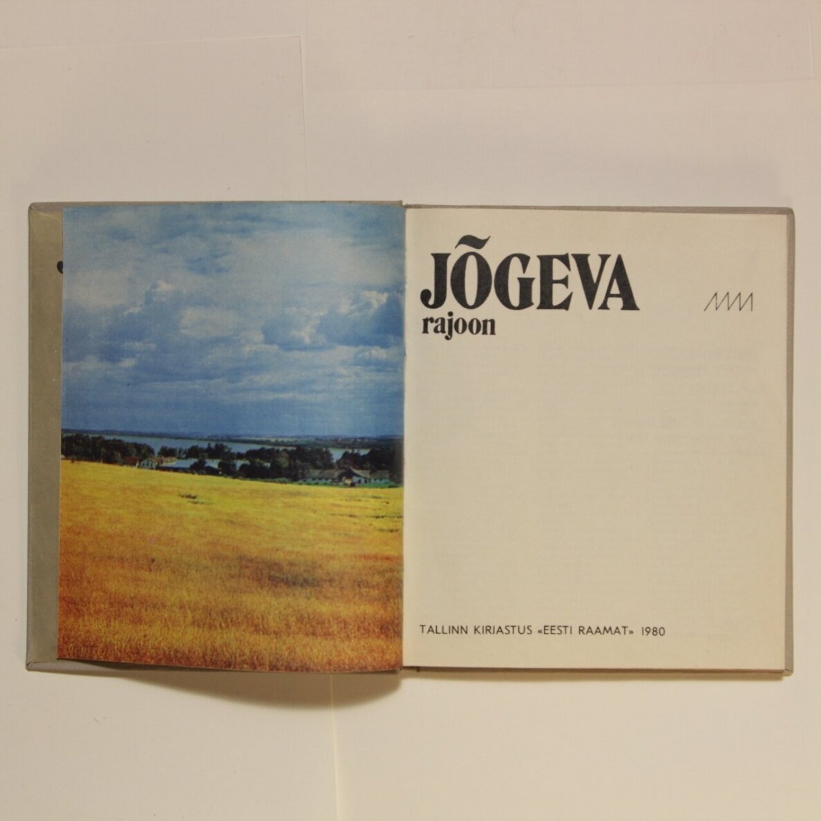 Jogena rajoon 1