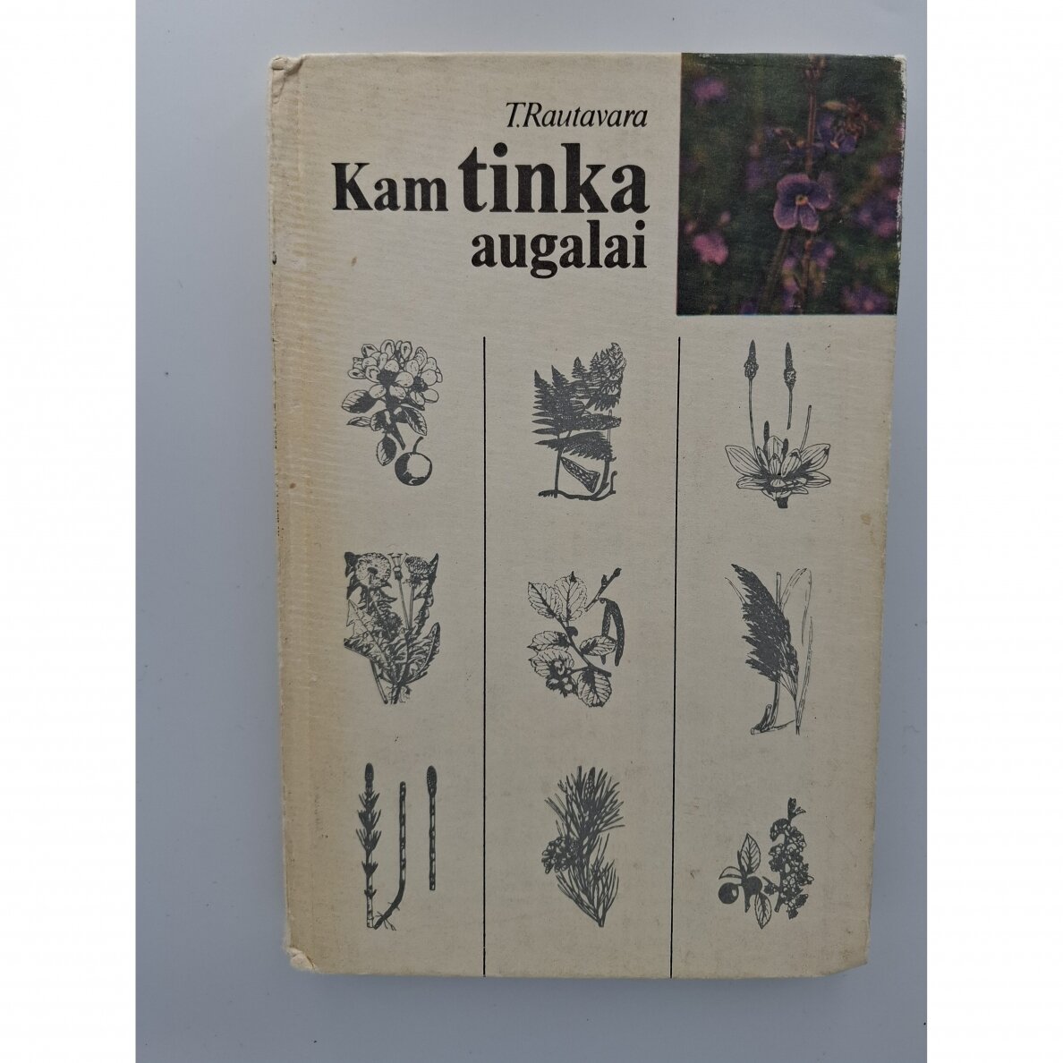 Kam tinka augalai Kam tinka augalai