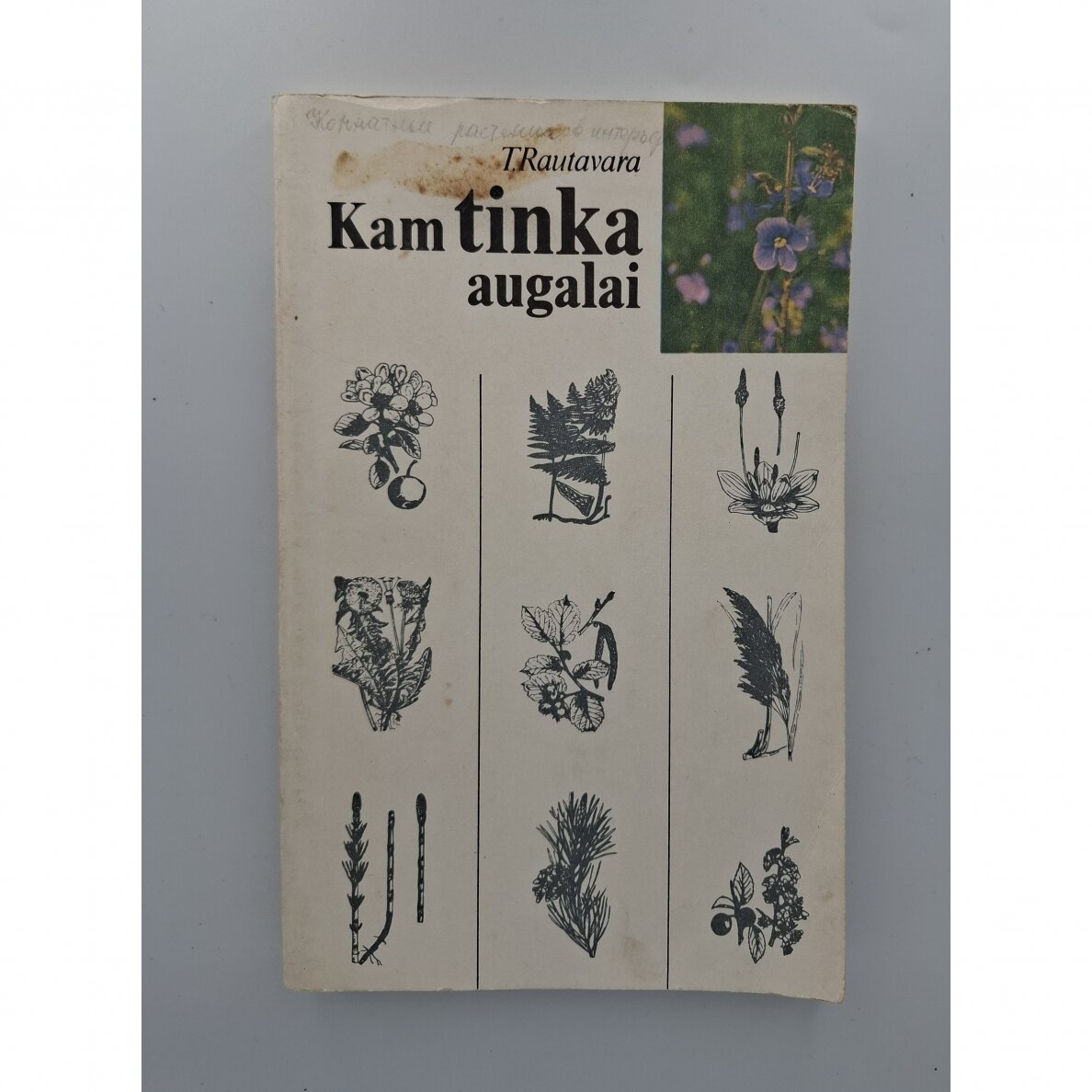 Kam tinka augalai