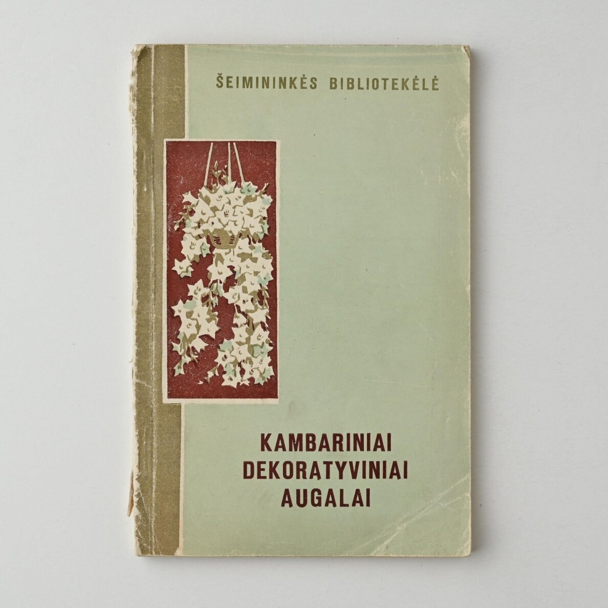 Kambariniai dekoratyviniai augalai Kambariniai dekoratyviniai augalai