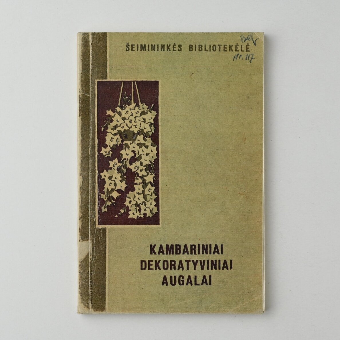 Kambariniai dekoratyviniai augalai Kambariniai dekoratyviniai augalai
