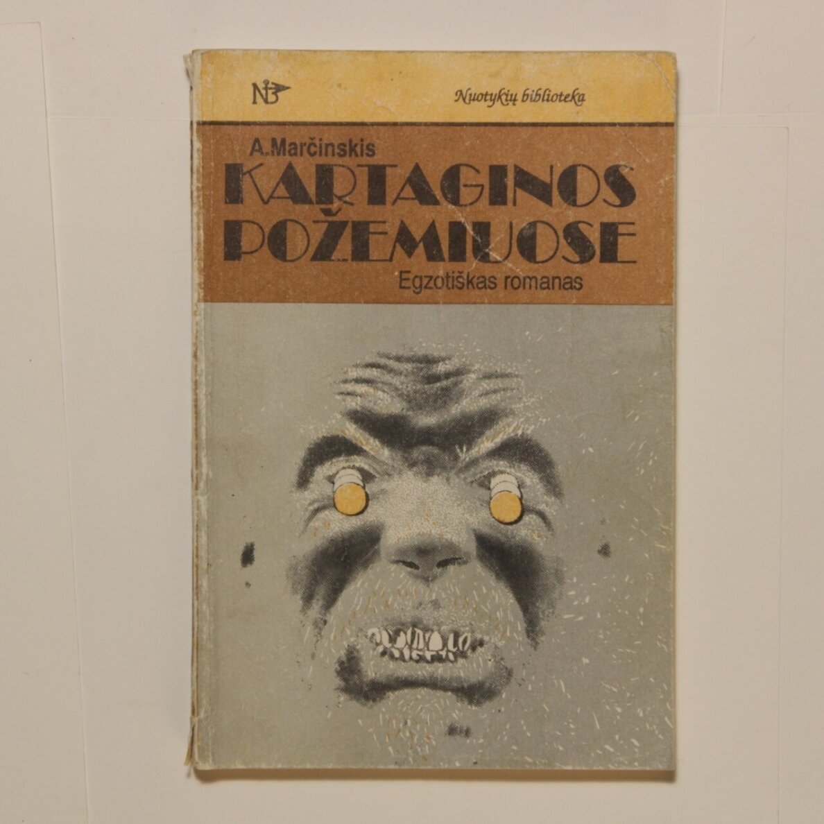 Kartaginos požemiuose Kartaginos požemiuose