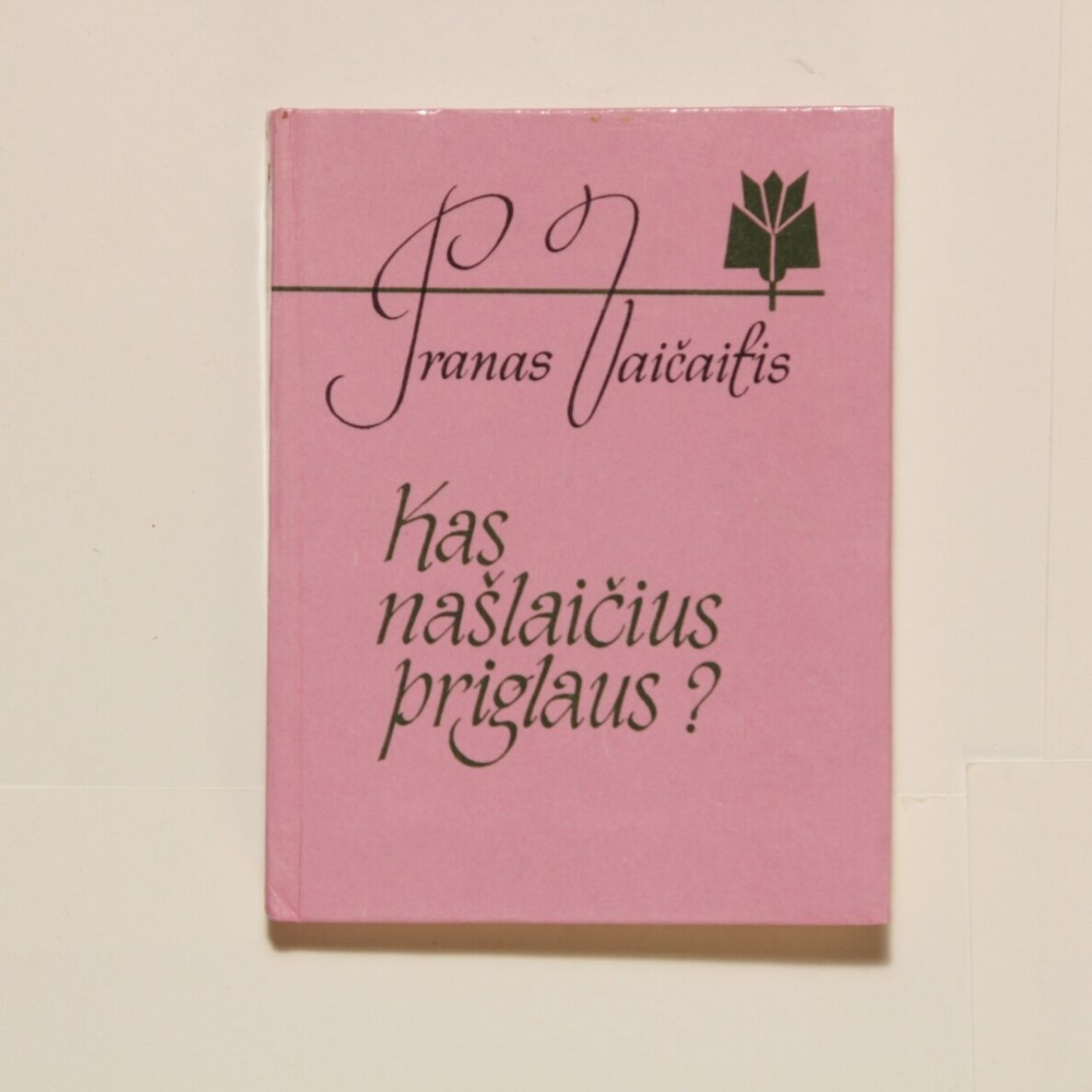 Kas našlaičius priglaus?: Eilėraščiai
