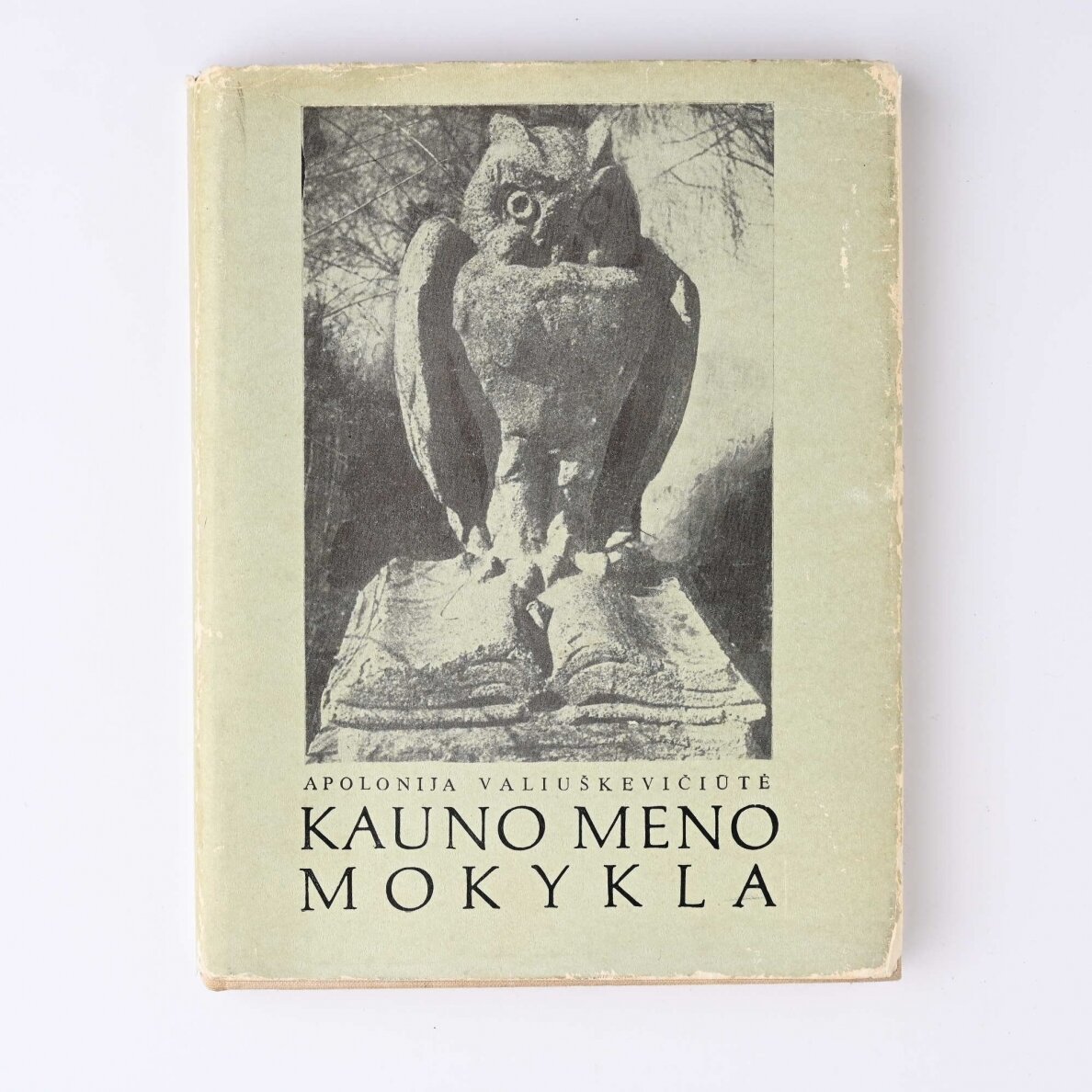 Kauno meno mokykla