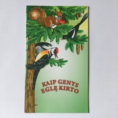 Kaip genys eglę kirto