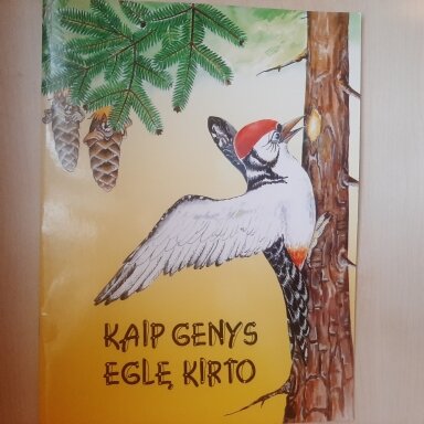 Kaip genys eglę kirto Kaip genys eglę kirto
