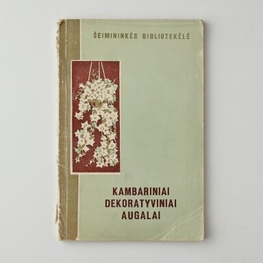 Kambariniai dekoratyviniai augalai Kambariniai dekoratyviniai augalai