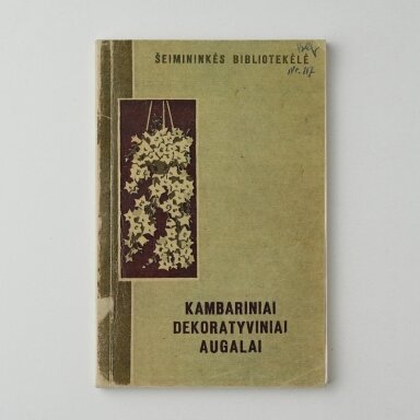 Kambariniai dekoratyviniai augalai
