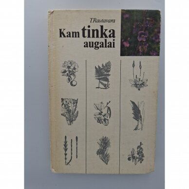 Kam tinka augalai Kam tinka augalai