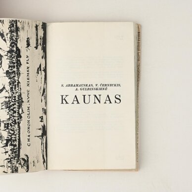 Kaunas 1