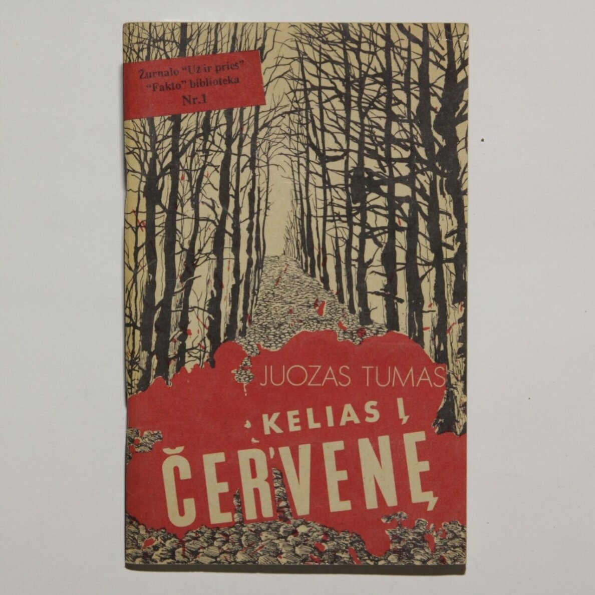 Kelias į Červenę